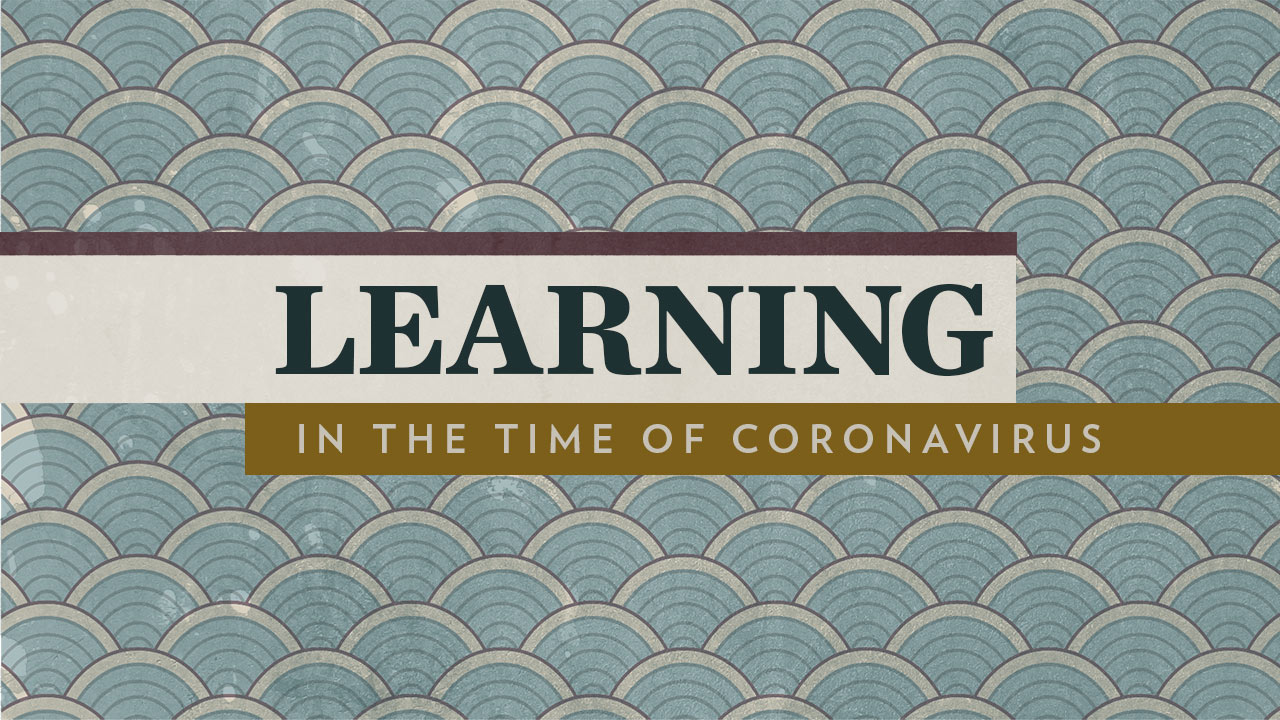 Learning in the time of Coronvarius