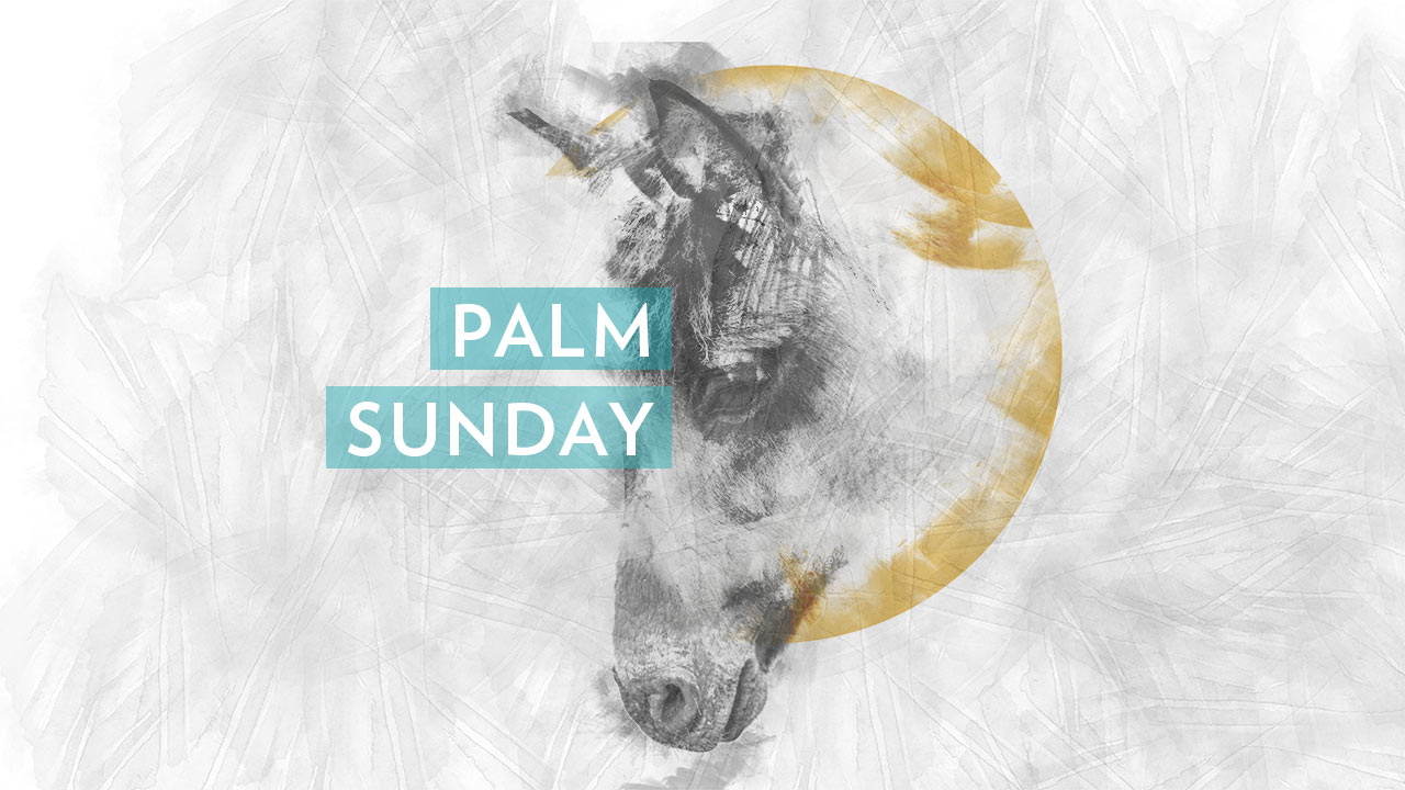 Palm Sunday Veritas