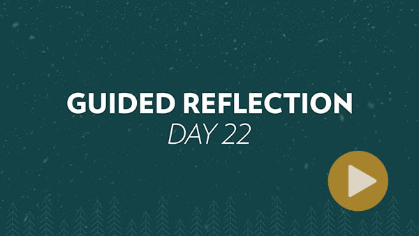 Guided Reflection Day 22